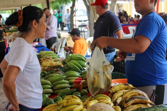 Altos-del-sol-amada-mercado.jpg