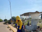Día de las Madres: Alcaldía de Maracaibo limpia el cementerio Corazón de Jesús