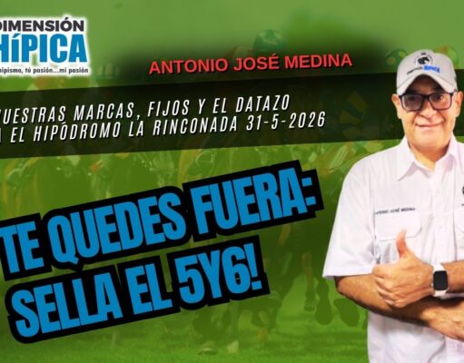 Pronósticos hípicos para Churchill Downs, Valencia y La Rinconada este fin de semana