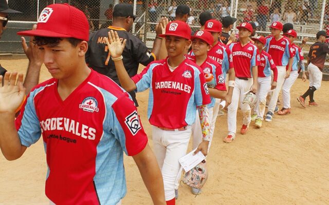 Cardenales-intermedia.jpg