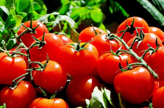 Tomates.jpg