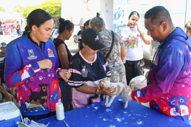 Jornada-Esterilizacion.jpg
