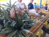 Beneficiadas 5.000 familias en jornadas de Campo Soberano y Bodega Móvil en despliegue de la Gobernación del Zulia