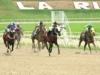 LA RINCONADA: Fatima Blush, Black Stone y Ekati King ganaron las más importantes