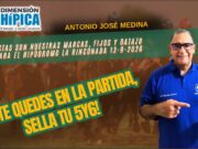 A ligar nuestras orientaciones para este sábado en Laurel Park y el domingo en La Rinconada