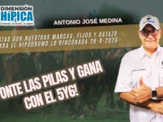 A ligar nuestras orientaciones para Valencia, Santa Anita Park y La Rinconada