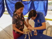 Maracaibo se suma a Castralat en el Día Mundial de los Animales