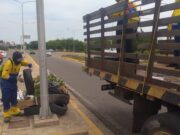Alcaldía de Maracaibo cumple con recolección de cauchos acorde a la Ordenanza Ambiental
