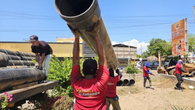 Colector-500-2