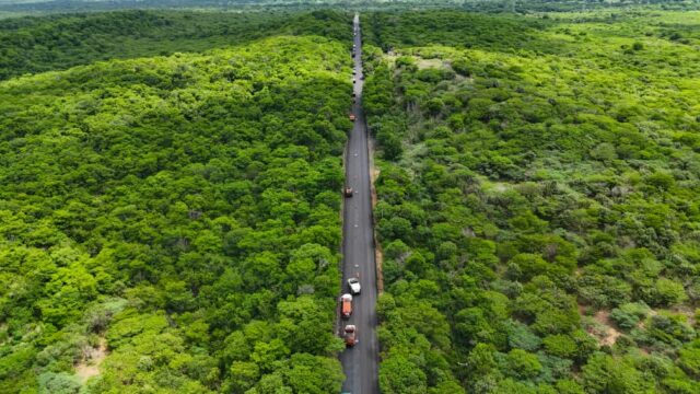 Falcon-Zulia.jpg