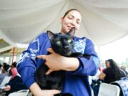 IMPA atiende hasta 120 mascotas en cada jornada de esterilización en Maracaibo