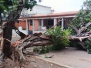 Alcalde Di Martino: «Ante la fuerte lluvia, activamos nuestro protocolo de emergencia»