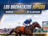 Los Bachacazos Hípicos de El Pepazo: ¡La Guía Definitiva de Sorpresas para las 13 Carreras en La Rinconada!