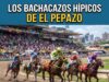 Los Bachacazos Hípicos de El Pepazo: ¡Sorpresas para las 13 Carreras de la Reunión 42 en La Rinconada!