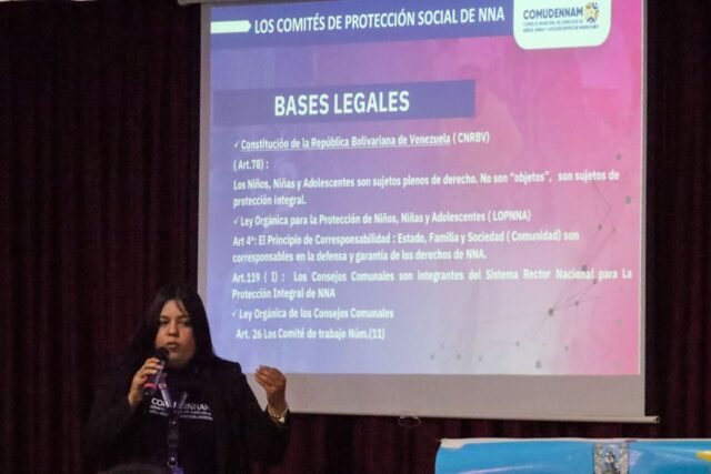 Sistema-proteccion2