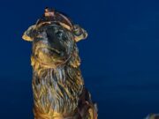 Alcalde Di Martino: Es un acto de heroísmo rescatar animales