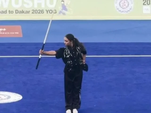 Wushu.webp
